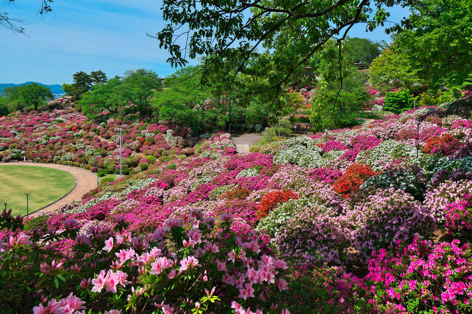 🏞️ 니시야마 공원 이미지 4